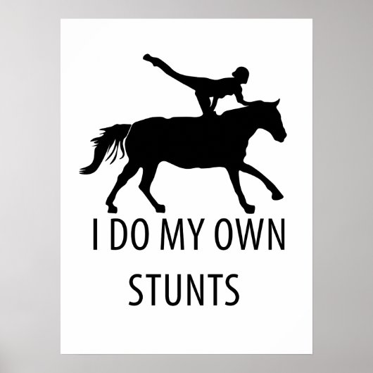 Ich mache eigene Stunts Vaulting Horseriding Poster (Vorne)