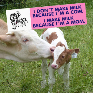 Ich mache keine Milch, weil ich eine Kuh bin, Vega Autoaufkleber