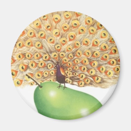 Ich mag Birnen Magnet (Vorne)