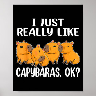 Ich mag Capybaras einfach wirklich Ok Capybara Tie Poster