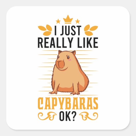 Ich mag Capybaras Ok Capybara Quadratischer Aufkleber (Vorderseite)