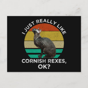 Ich mag Cornish Rex Katzen einfach wirklich, OK? Postkarte