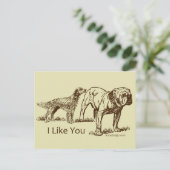 Ich mag dich Hunde Humor Postkarte (Stehend Vorderseite)