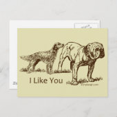 Ich mag dich Hunde Humor Postkarte (Vorne/Hinten)