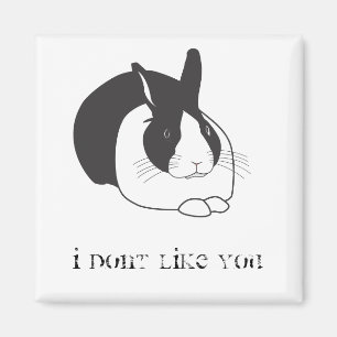 Ich mag dich nicht magnet