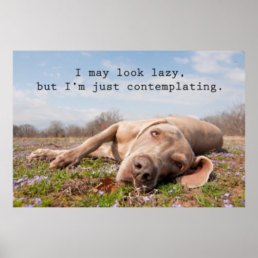 Ich mag faul aussehen poster (Vorne)