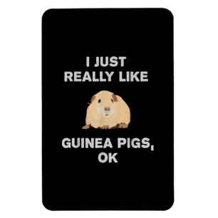 Ich mag Guinea Schweine wirklich gerne Guinea Schw Magnet