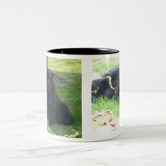 Ich mag mein Chow-Chowe u. Kaffee-Schwarzes Zweifarbige Tasse (Mittel)