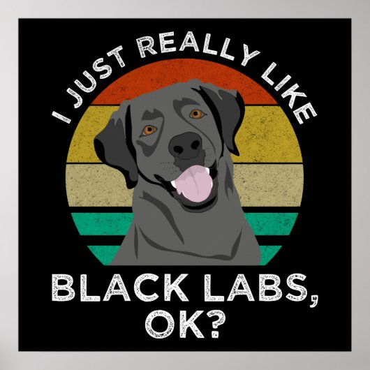 Ich mag nur schwarze Labrador, okay? Poster (Vorne)