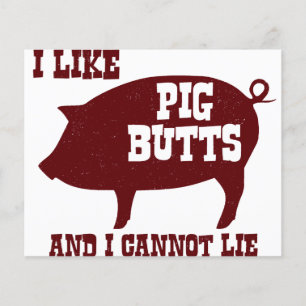 Ich mag Schweineärsche und kann nicht lügen BBQ Ba Flyer