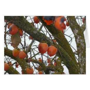 "Ich mag sure mit Ihnen heraus hängen. "