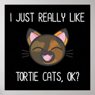 Ich mag Tortie Cats einfach gut? Tortoiseshell Poster