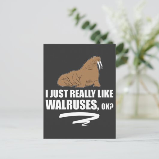 Ich mag Walruses OK - Funny Walrus Postkarte (Stehend Vorderseite)