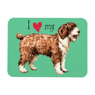 Ich  meinen spanischen Wasserhund Magnet