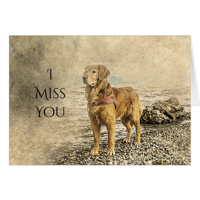 ICH MISS, DASS DU HUNDE GESAGT HAST (Vorderseite (Horizontal))