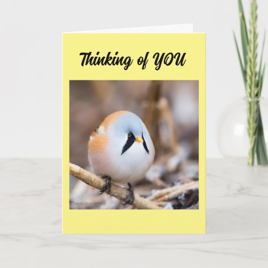 *ICH MISSE, DASS SIE* IN DER PERSON-KARTE SAGEN KÖ KARTE (Vorderseite)