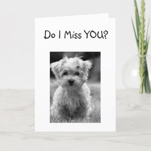 ICH MISSE UNS SO VIEL, DASS DIE FARBE MEIN LEBEN V KARTE