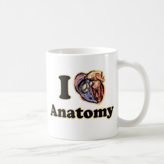 Ich möchte Anatomie Science Super Geek Teacher Kaffeetasse (Rechts)