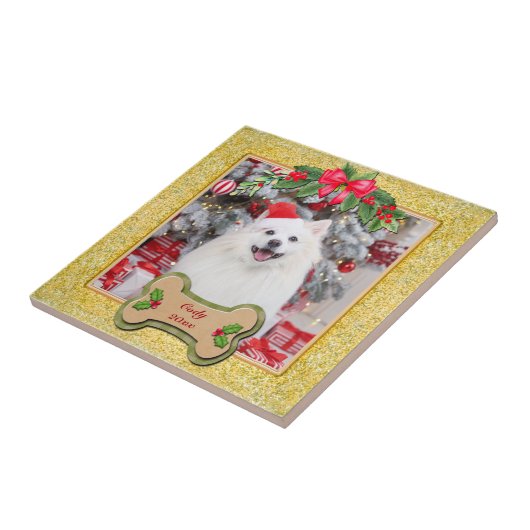 Ich möchte dir ein fröhliches Personalisiertes Hun Fliese (Seite)