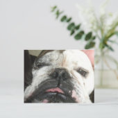 Ich muss aufhören zu trinken. postkarte (Stehend Vorderseite)