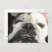 Ich muss aufhören zu trinken. postkarte (Vorne/Hinten)