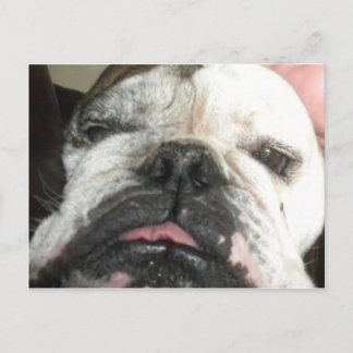 Ich muss aufhören zu trinken. postkarte