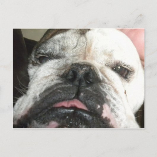 Ich muss aufhören zu trinken. postkarte (Vorderseite)