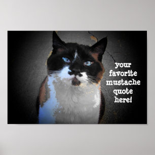 Ich muss dich bitten, das Feld auszufüllen Poster