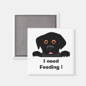 , ich muss Gefüttert werden! Magnet (Vorderseite/Rückseite)