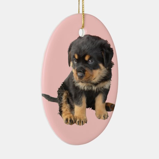 Ich muss nicht gesagt werden, dass ich Niedlich bi Keramik Ornament (Rechts)