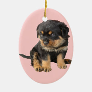 Ich muss nicht gesagt werden, dass ich Niedlich bi Keramik Ornament