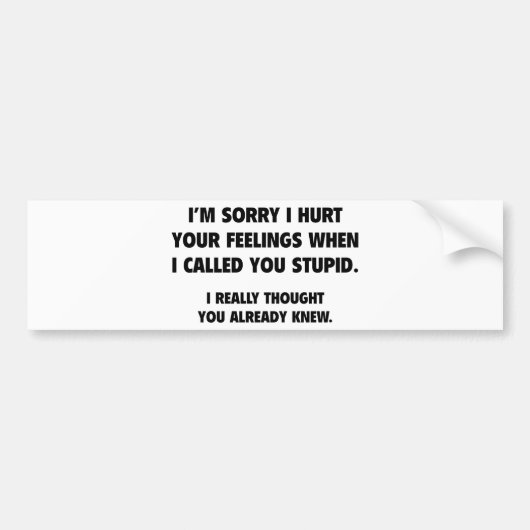 Ich nannte dich Stupid Autoaufkleber (Vorne)