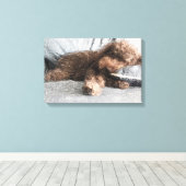 Ich ❤️ Naps Poodle Leinwanddruck (Insitu (Holzboden))