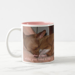 Ich nehme ein Nickerchen, während Sie einen Sip Zweifarbige Tasse