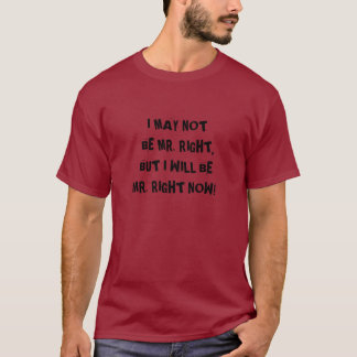 ICH NICHT BIN ZWAR HERR RIGHT, ABER ICH BIN HERR T-Shirt
