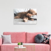 Ich ❤️ Nickerchen Poodle Leinwanddruck (Insitu (Wohnzimmer))