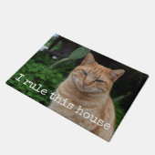 Ich ordne diese Haus-lustige kundenspezifische Fußmatte (Schrägansicht)