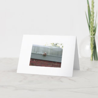 ich passe Sie auf Karte