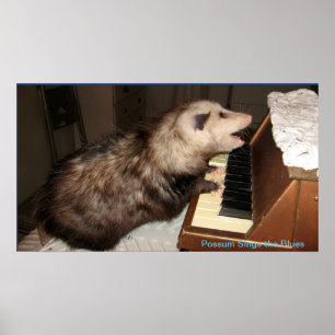 ICH Perlen-Opossum-Plakat Poster