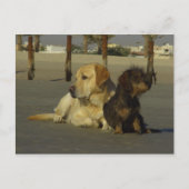 Ich rede nicht mit dir postkarte (Vorderseite)