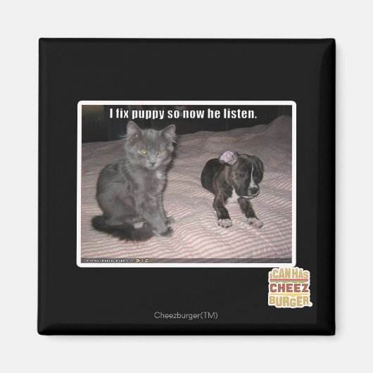 Ich repariere Puppy Magnet (Vorne)