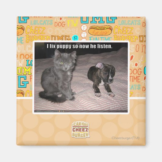 Ich repariere Puppy Magnet (Vorne)