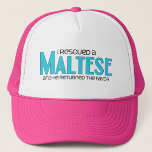 Ich rettete ein maltesisches (männlicher Hund) Truckerkappe