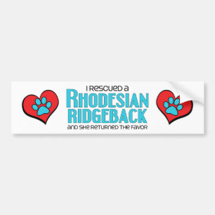 Ich rettete ein Rhodesian Ridgeback (weiblicher Autoaufkleber