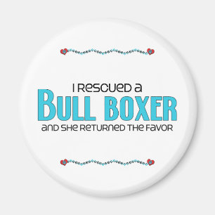 Ich rettete eine Stier-Boxer-(weibliche) Magnet
