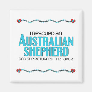 Ich rettete einen australischen Schäfer Magnet