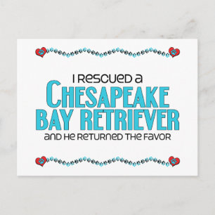 Ich rettete einen Schachtelhalm (Männlicher Hund) Postkarte