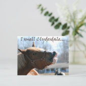 Ich rieche Clydesdales Postkarte (Stehend Vorderseite)