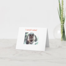 "Ich rieche Kuchen!" Geburtskarte des Hundes