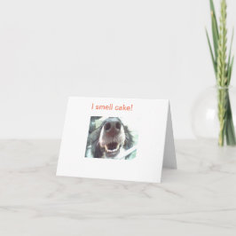 "Ich rieche Kuchen!" Geburtskarte des Hundes Karte